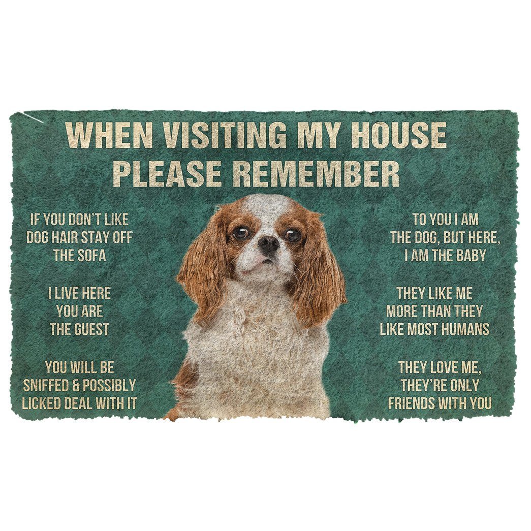 House cavalier hot sale king charles spaniel