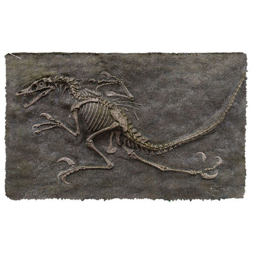 Gearhuman 3D Dinosaur Fossil Doormat
