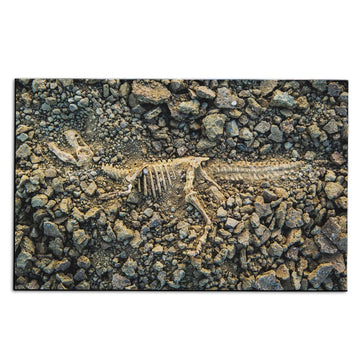 Gearhuman 3D Dinosaur Fossil Carpet