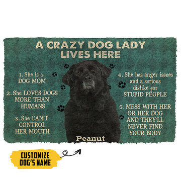 Gearhumans 3D A Crazy Dog Lady Lives Here Newfoundland Custom Name Doormat