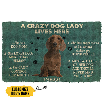 Gearhumans 3D A Crazy Dog Lady Lives Here Brown Dachshund Custom Name Doormat