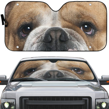 Gearhumans 3D Bulldog Eyes Custom Car Auto Sunshade
