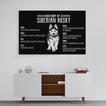 Gearrhumans 3D Anatomy Of A Siberian Husky Custom Canvas