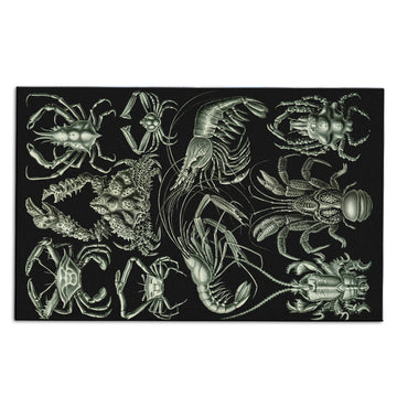 Gearhumans 3D Haeckel Nature Decapoda Crustaceans Custom Carpet