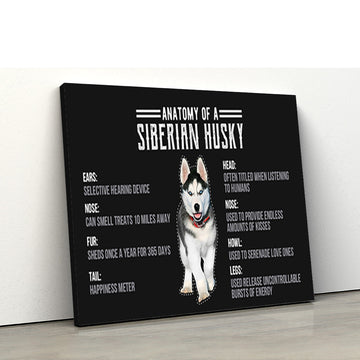 Gearrhumans 3D Anatomy Of A Siberian Husky Custom Canvas