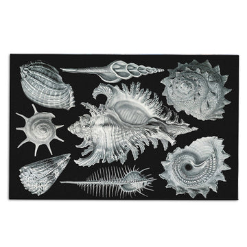 Gearhumans 3D Haeckel Prosobranchia Sea Shells Custom Carpet