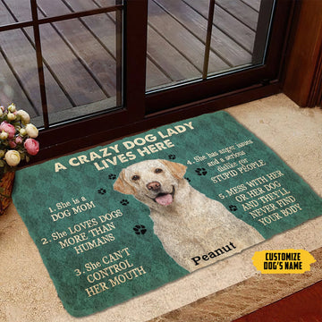 Gearhumans 3D A Crazy Dog Lady Lives Here Labrador Retriever Custom Name Doormat