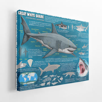 Gearhumans 3D Great White Shark Canvas