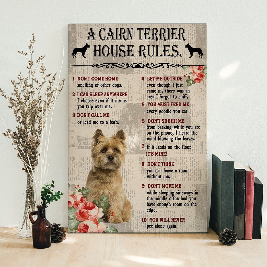 Gearhuman 3D A Cairn Terrier House Rules Canvas GK040220 Canvas