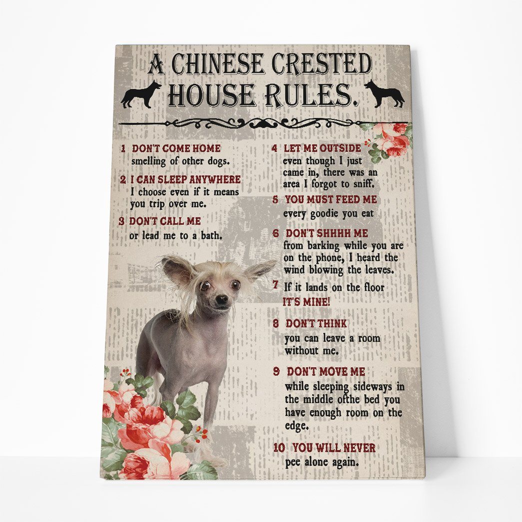 Gearhuman 3D A Chinese Crested House Rules Canvas GK040265 Canvas 1 Piece Non Frame M