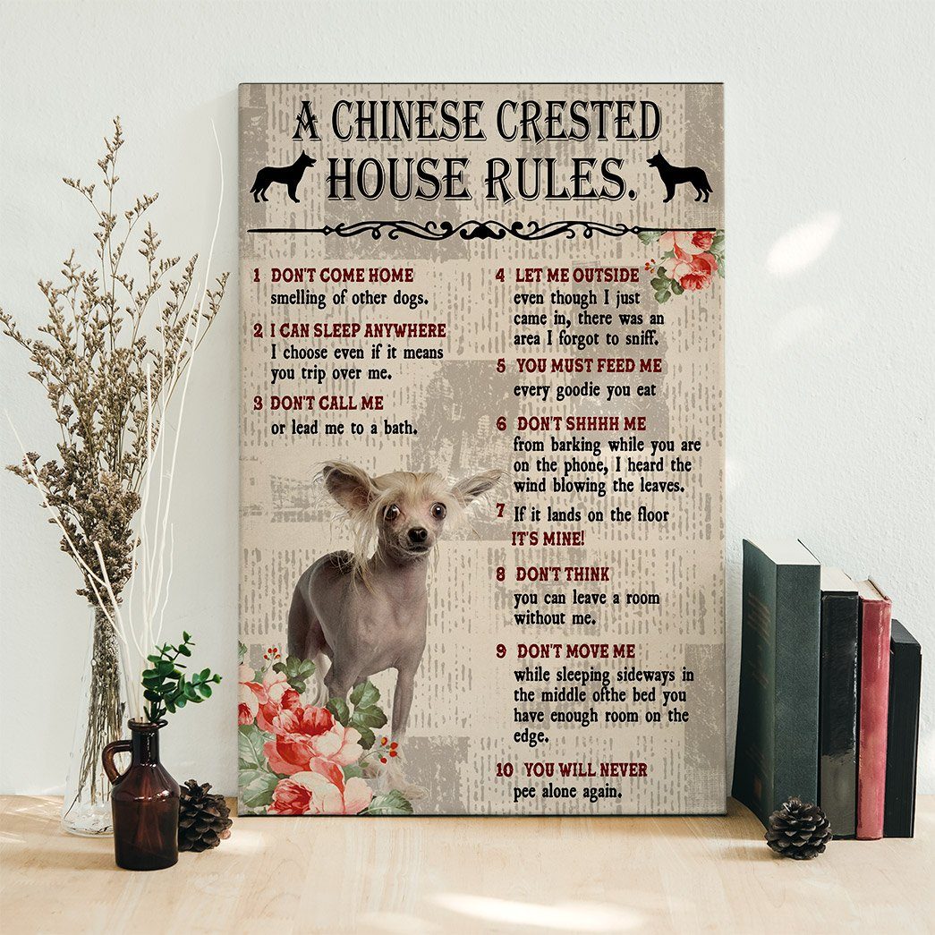 Gearhuman 3D A Chinese Crested House Rules Canvas GK040265 Canvas