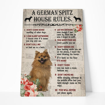 Gearhumans 3D A German Spitz House Rules Canvas