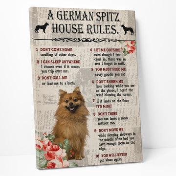 Gearhumans 3D A German Spitz House Rules Canvas