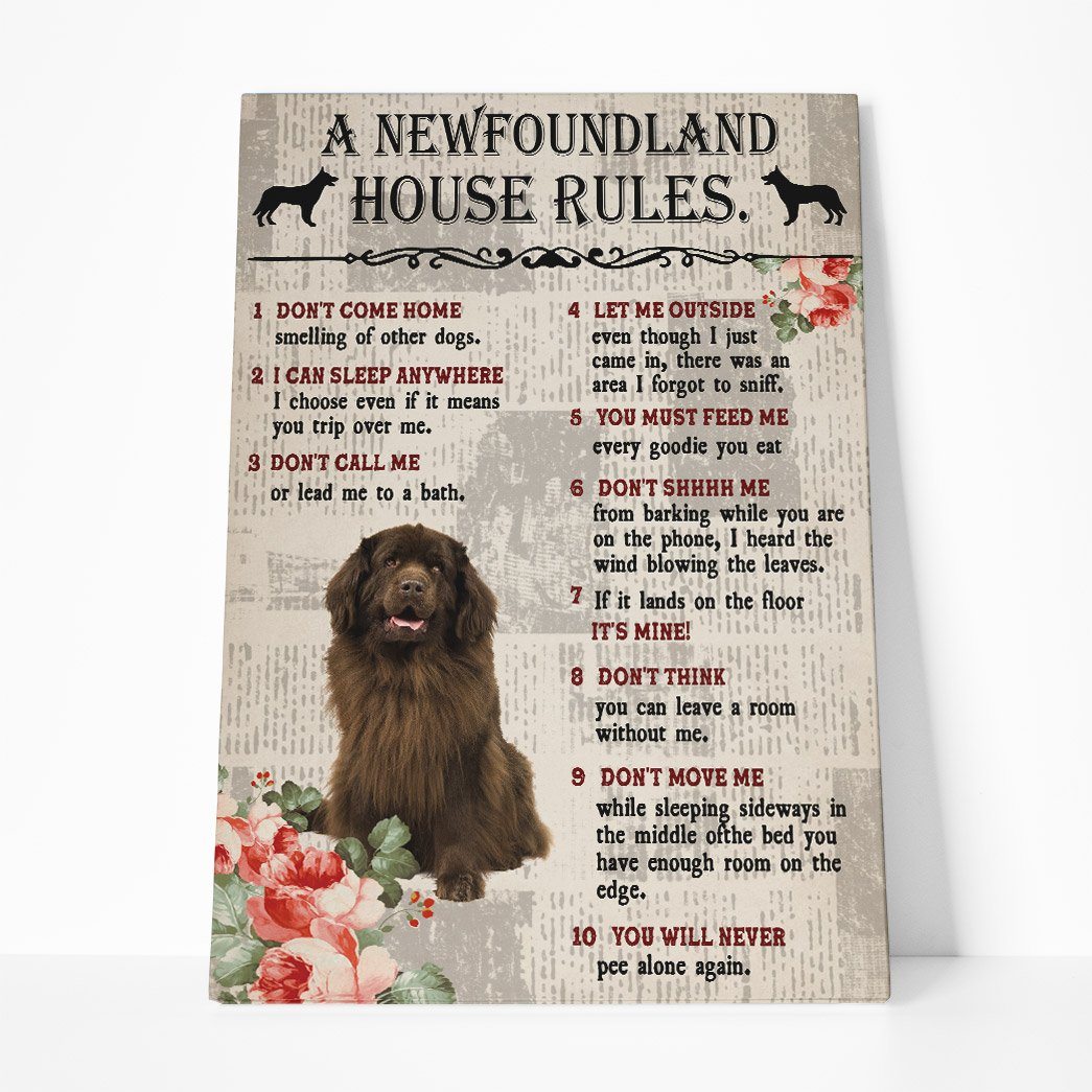 Gearhuman 3D A Newfoundland House Rules Canvas GK040228 Canvas 1 Piece Non Frame M