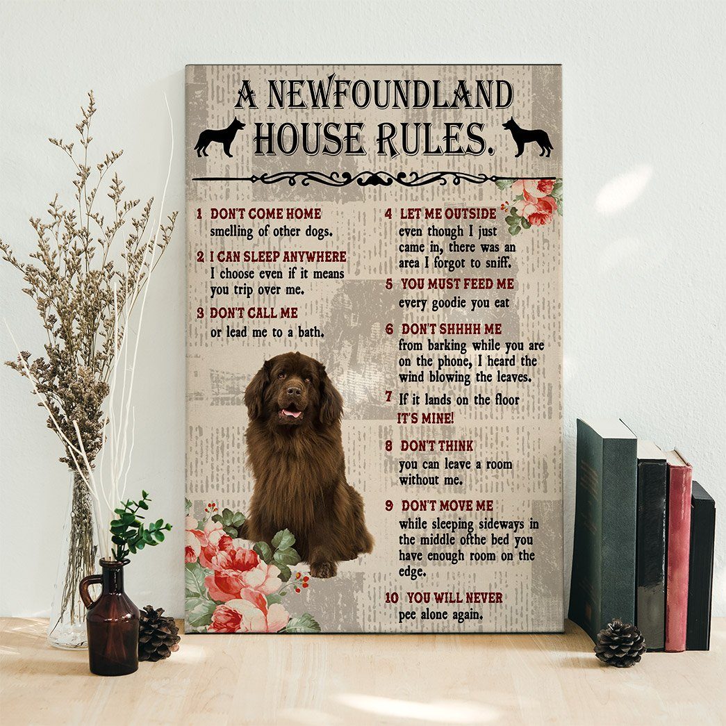 Gearhuman 3D A Newfoundland House Rules Canvas GK040228 Canvas