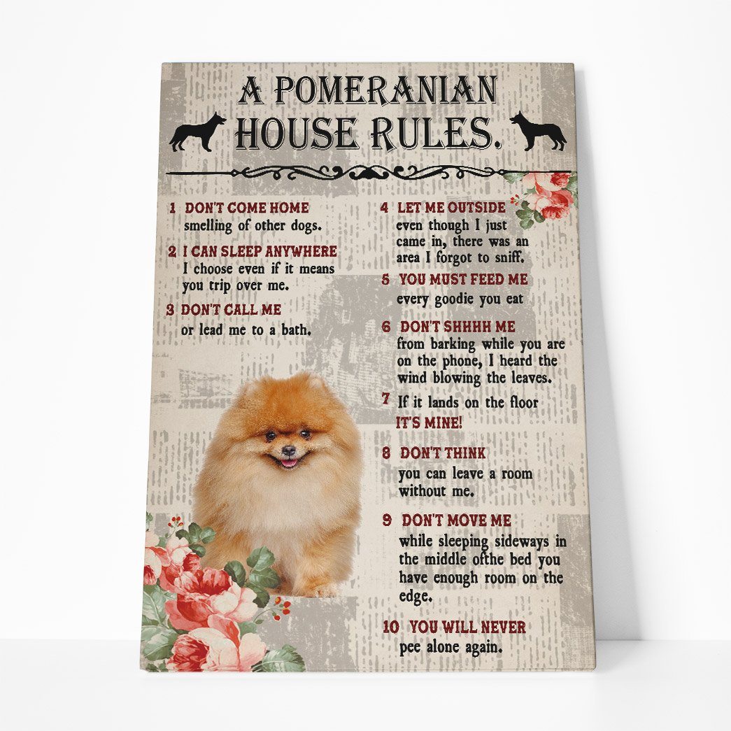 Gearhuman 3D A Pomeranian House Rules Canvas GK040235 Canvas 1 Piece Non Frame M