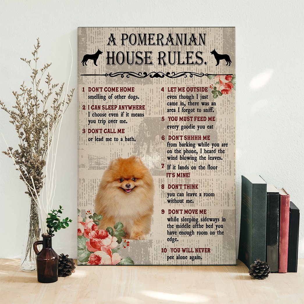 Gearhuman 3D A Pomeranian House Rules Canvas GK040235 Canvas