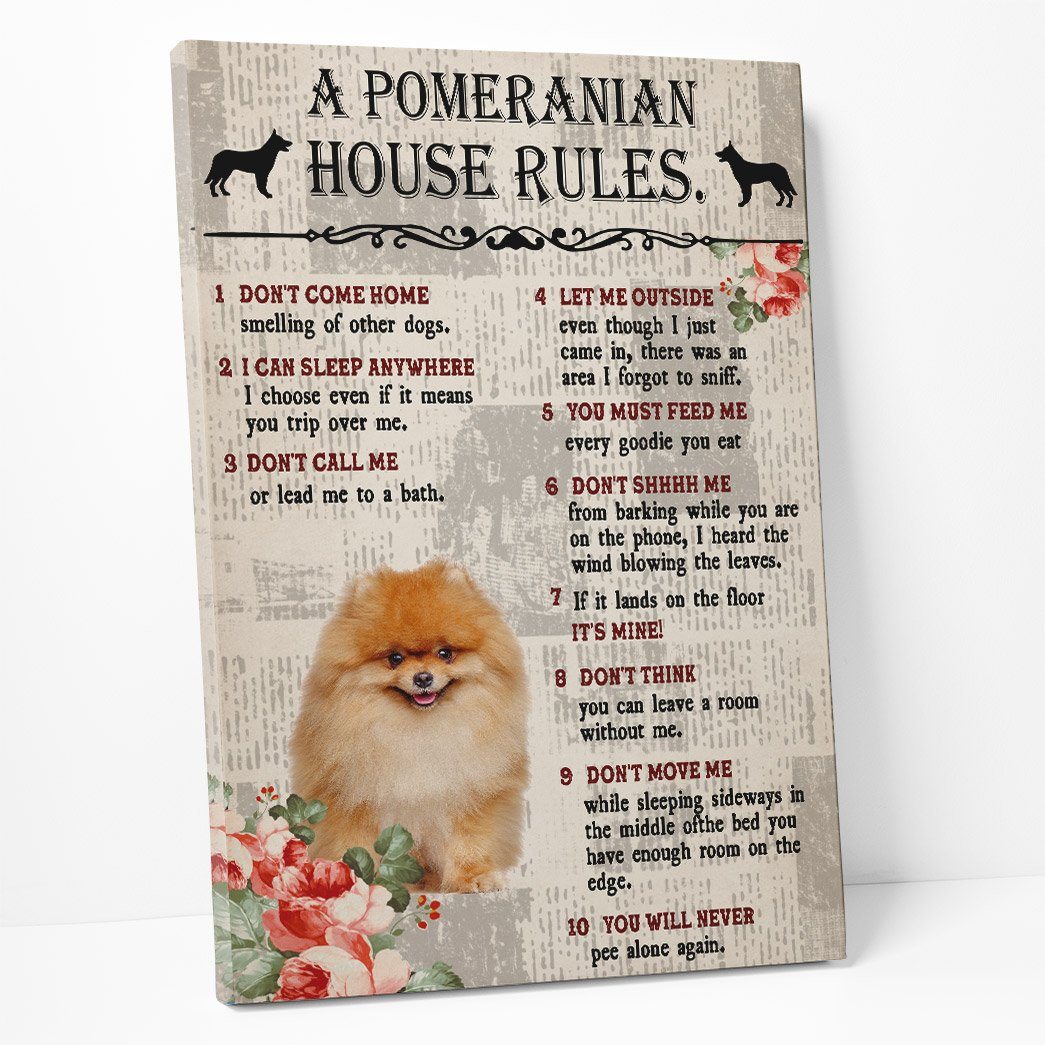 Gearhuman 3D A Pomeranian House Rules Canvas GK040235 Canvas