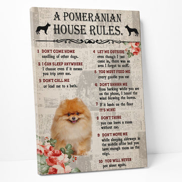 Gearhumans 3D A Pomeranian House Rules Canvas