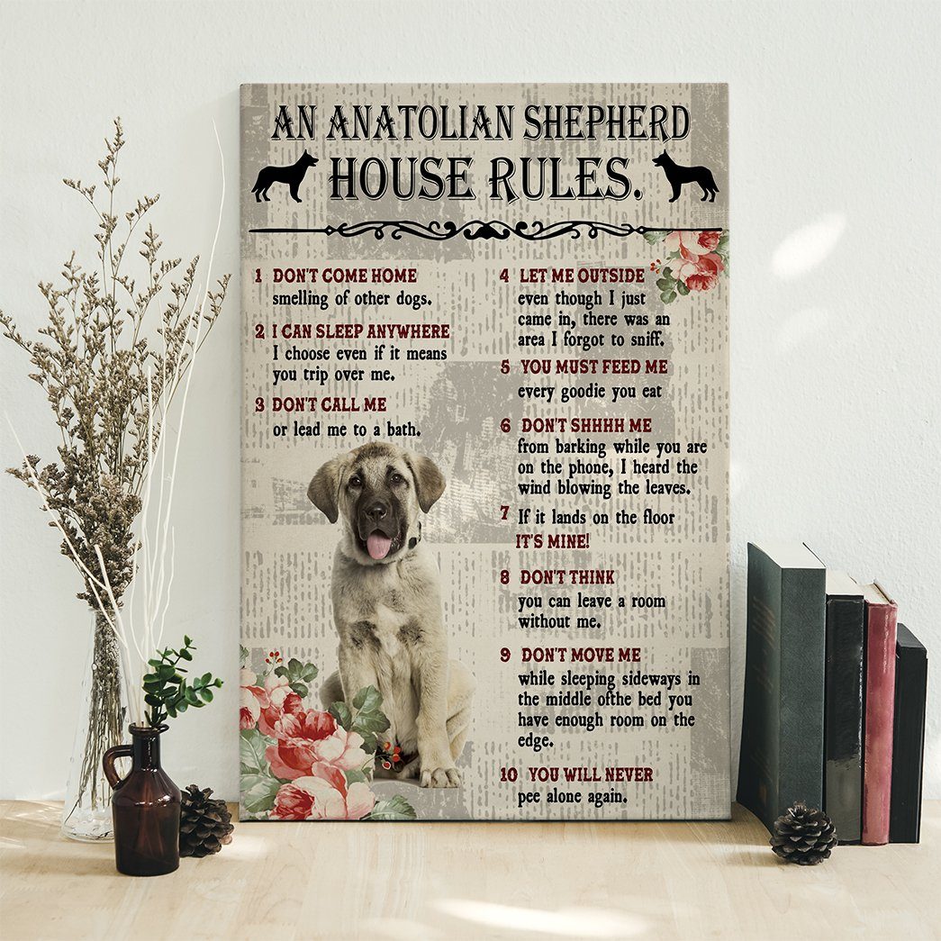 Gearhuman 3D An Anatolian Shepherd House Rules Canvas GK040226 Canvas