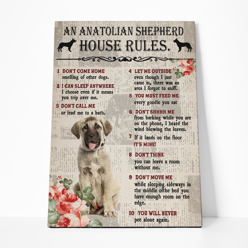 Gearhuman 3D An Anatolian Shepherd House Rules Canvas GK040226 Canvas