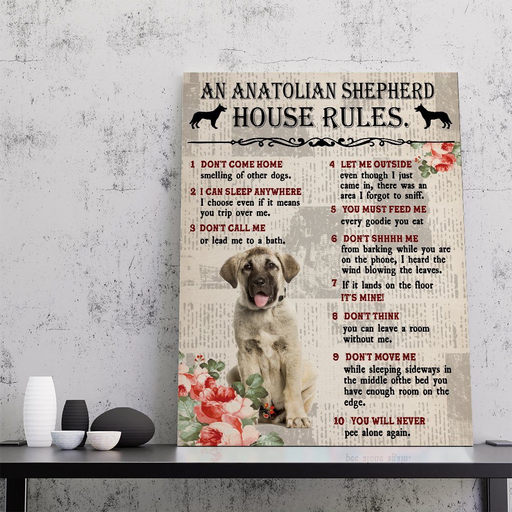 Gearhuman 3D An Anatolian Shepherd House Rules Canvas GK040226 Canvas