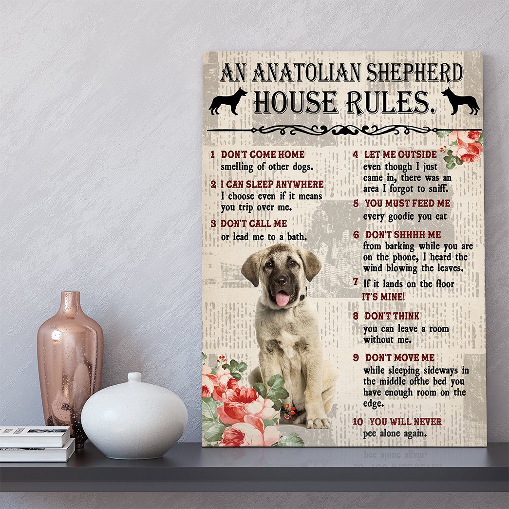 Gearhuman 3D An Anatolian Shepherd House Rules Canvas GK040226 Canvas