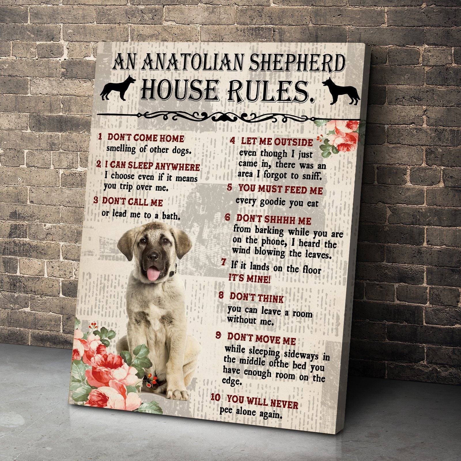 Gearhuman 3D An Anatolian Shepherd House Rules Canvas GK040226 Canvas