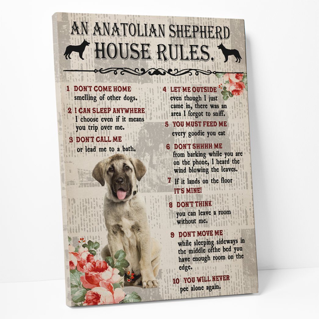 Gearhuman 3D An Anatolian Shepherd House Rules Canvas GK040226 Canvas