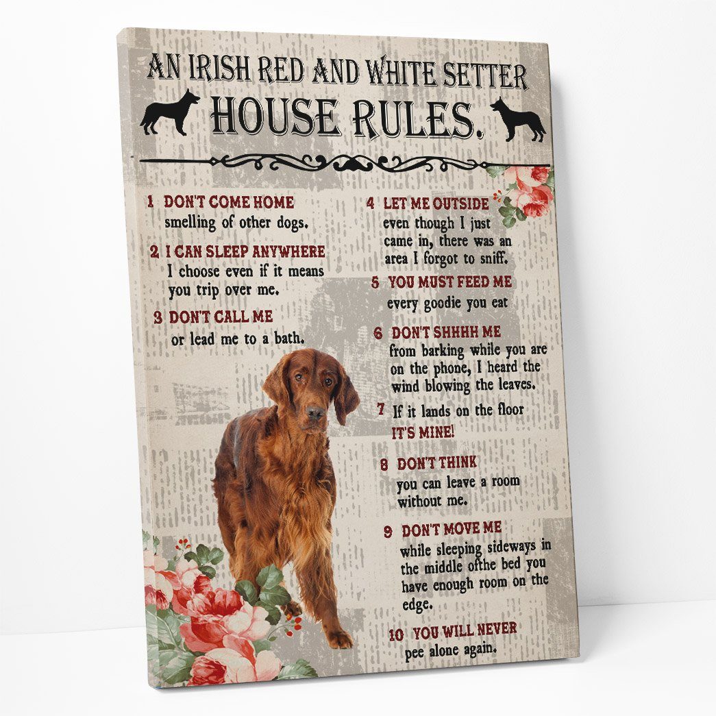 Gearhuman 3D An Irish Red and White Setter House Rules Canvas GK040247 Canvas