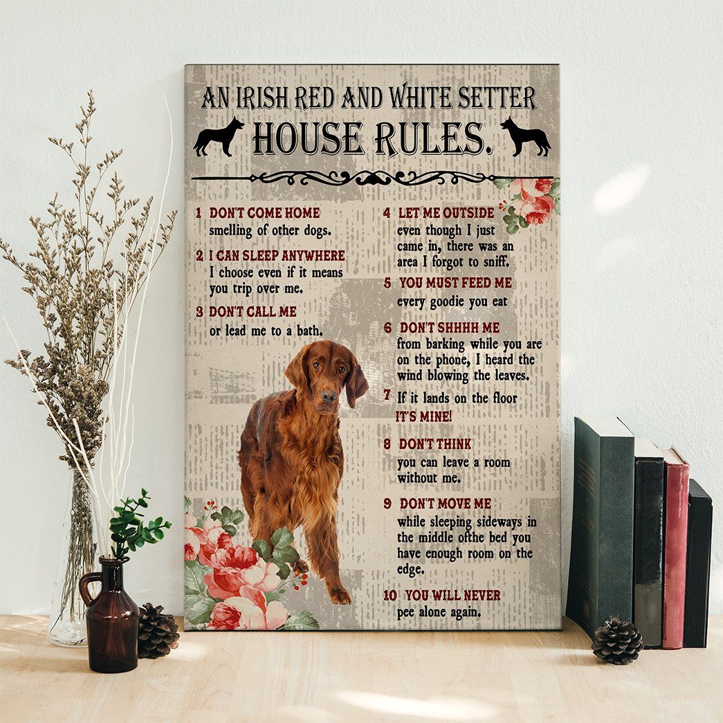 Gearhuman 3D An Irish Red and White Setter House Rules Canvas GK040247 Canvas