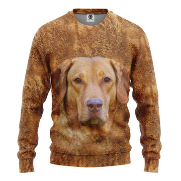 Gearhumans 3D Chesapeake Bay Retriever Dog Front And Back Tshirt Hoodie Apparel