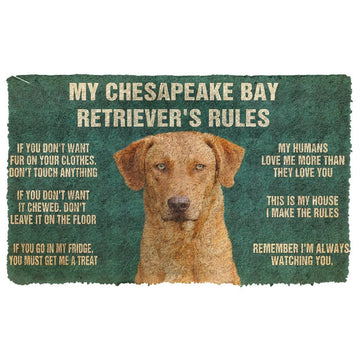 Gearhumans 3D Chesapeake Bay Retriever's Rules Doormat