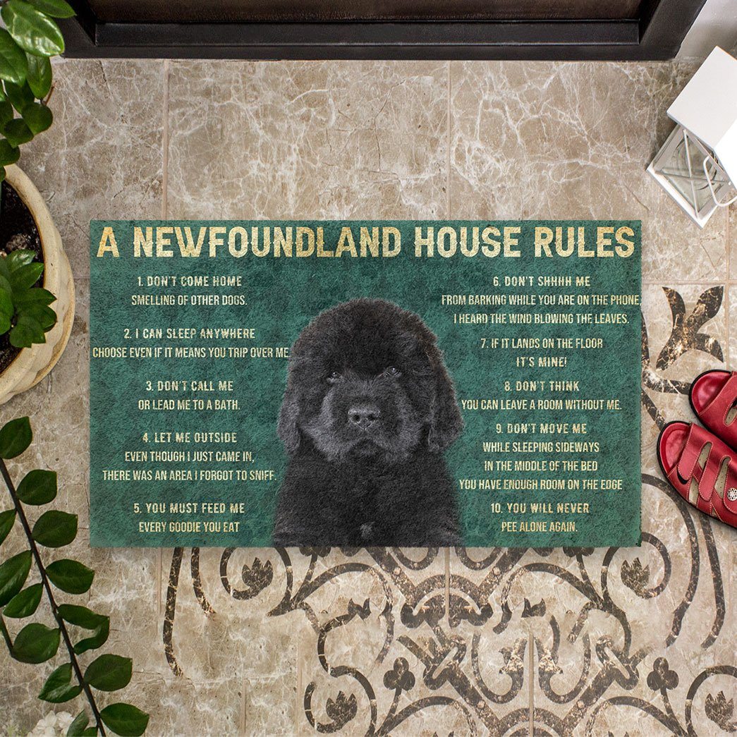 Gearhuman 3D House Rules Newfoundland Dog Doormat GV18025 Doormat