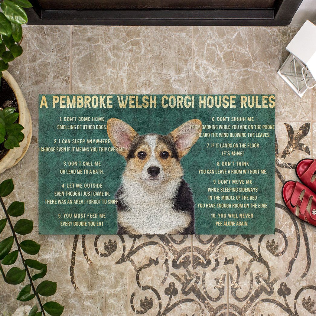 Gearhuman 3D House Rules Pembroke Welsh Corgi Dog Doormat GV18029 Doormat