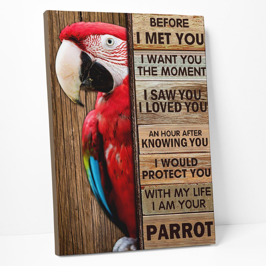 Gearhuman 3D I Would Protect You Parrot Canvas GB230213 Canvas