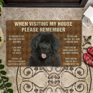 Gearhumans 3D Newfoundland House Rules Custom Doormat