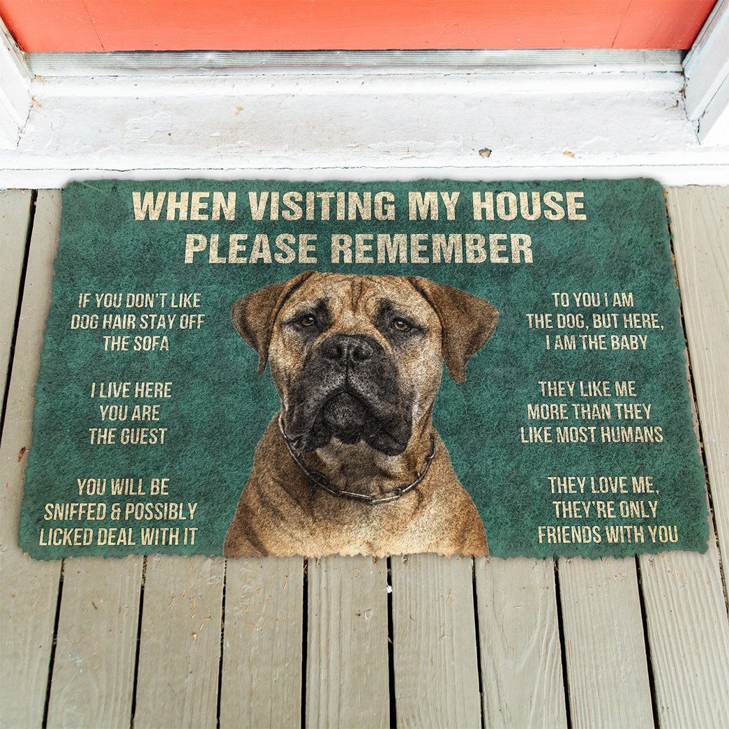 GearHuman 3D Please Remember Bullmastiff Dog's House Rules Doormat GR200112 Doormat 
