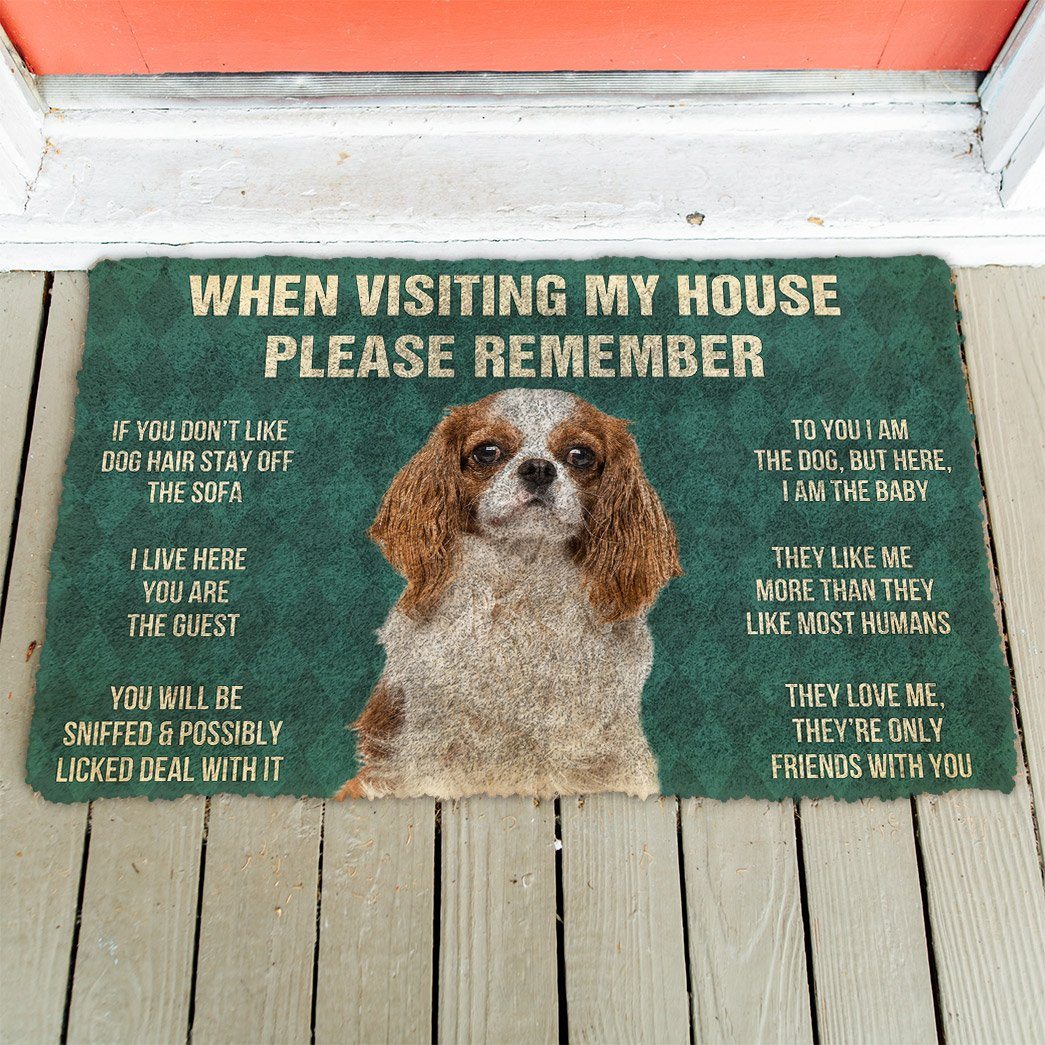 Gearhuman 3D Please Remember Cavalier King Charles Spaniel Dogs House Rules Custom Doormat GB220112 Doormat