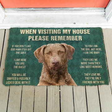 Gearhumans 3D Please Remember Chesapeake Bay Retriever Dogs House Rules Custom Doormat