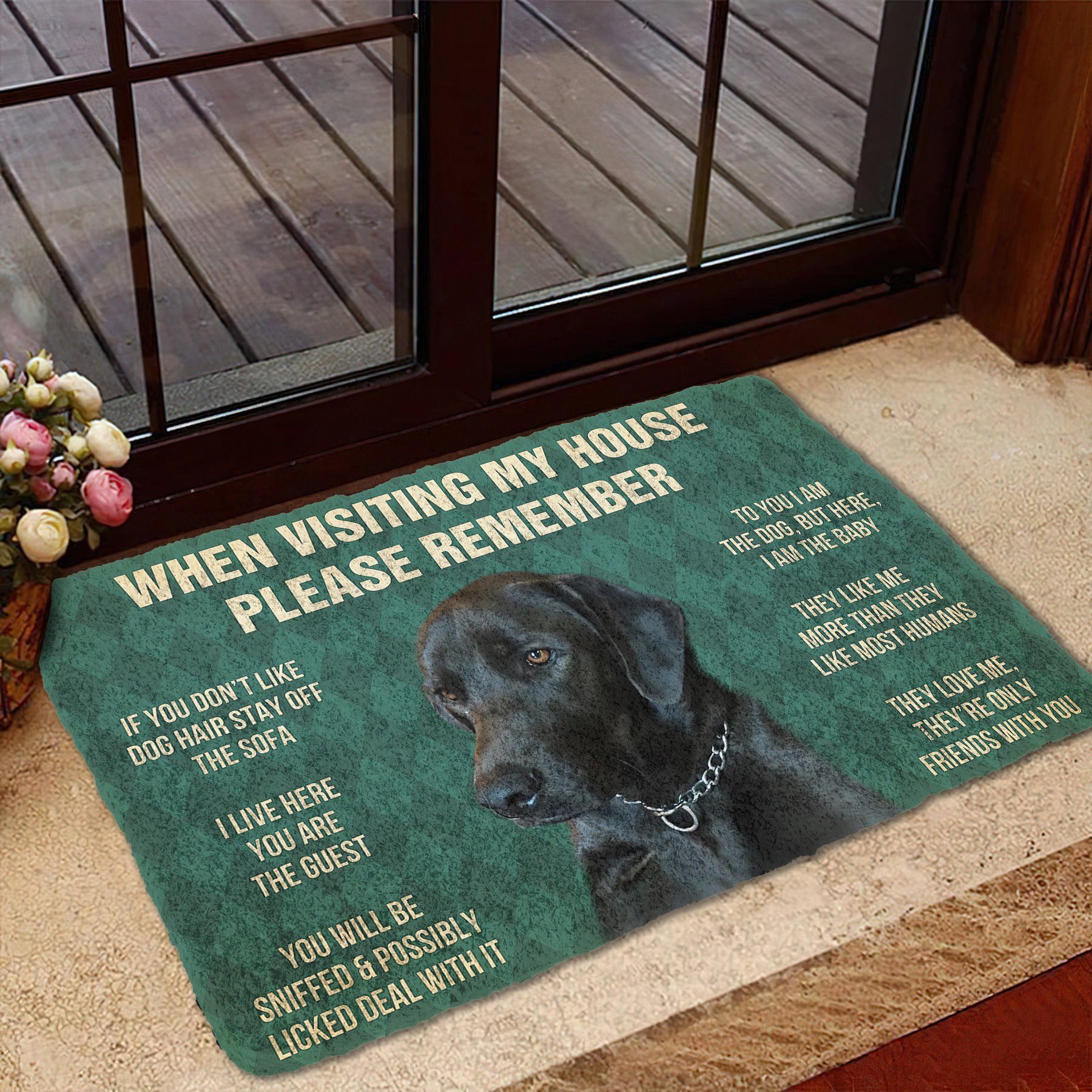 Gearhuman 3D Please Remember Doormat GV030312 Doormat