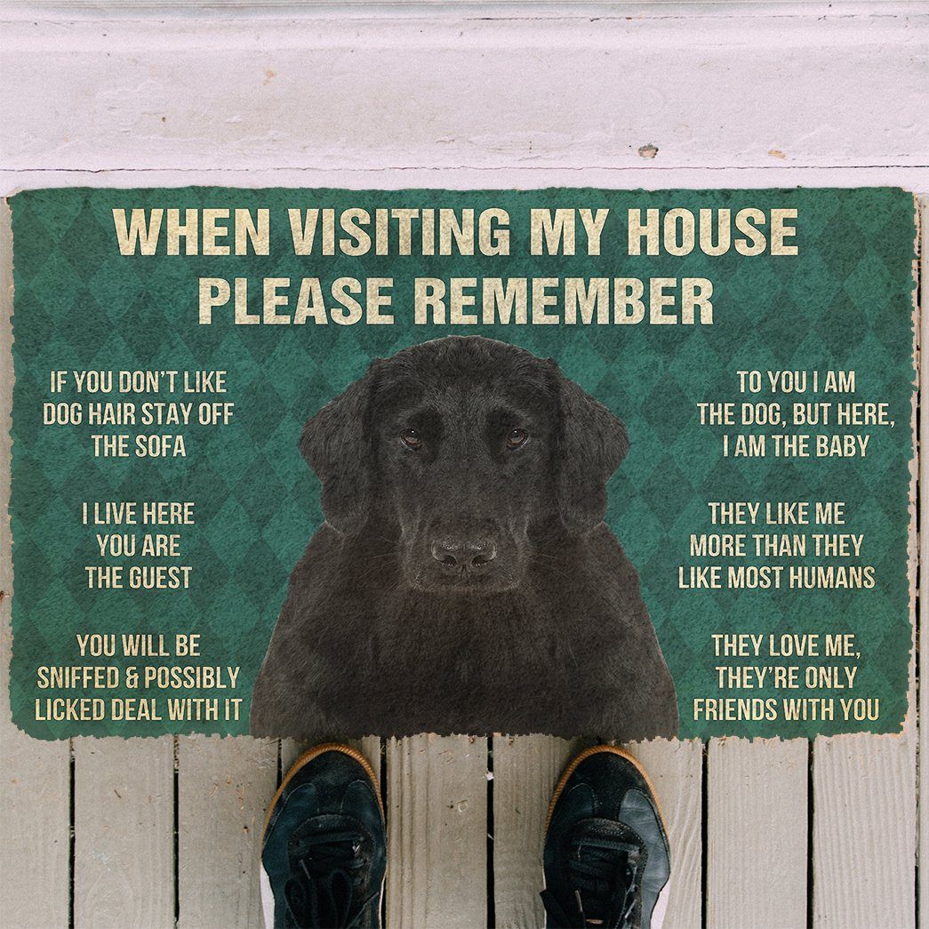 GearHuman 3D Please Remember Flat Coated Retriever Dogs House Rules Doormat GV250158 Doormat