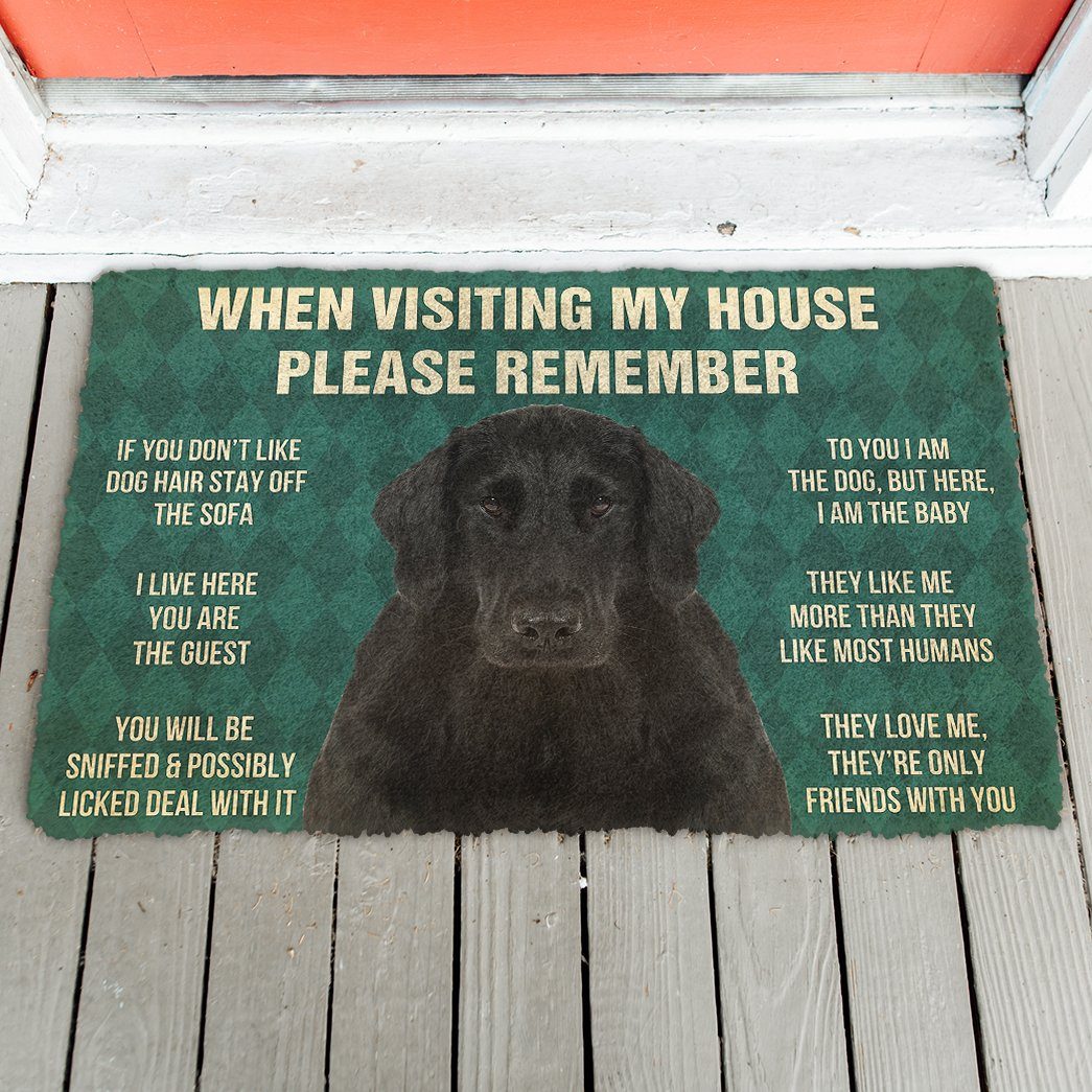 GearHuman 3D Please Remember Flat Coated Retriever Dogs House Rules Doormat GV250158 Doormat
