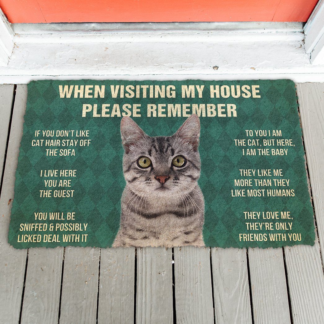 GearHuman 3D Please Remember Gray Tabby Cat House Rules Doormat GR15017 Doormat 