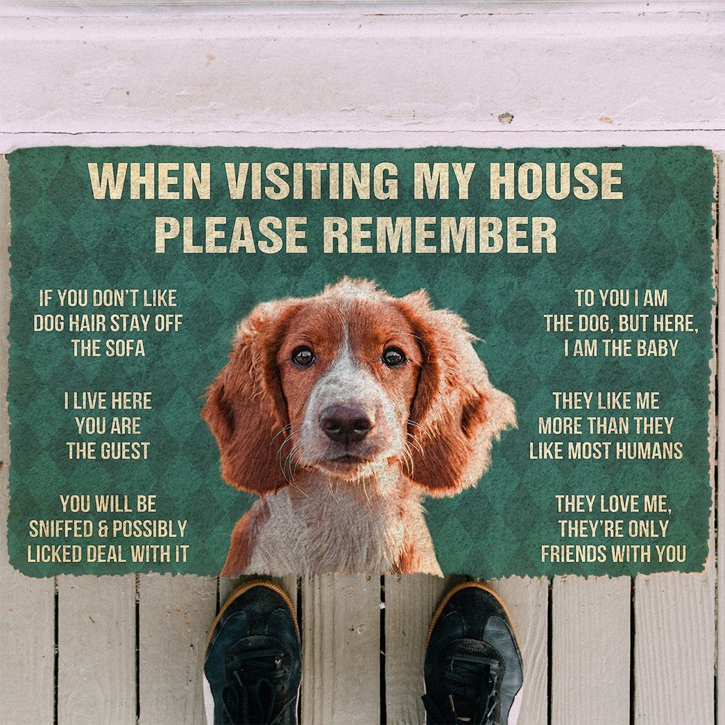 GearHuman 3D Please Remember Irish Red and White Setter Dogs House Rules Doormat GV250153 Doormat