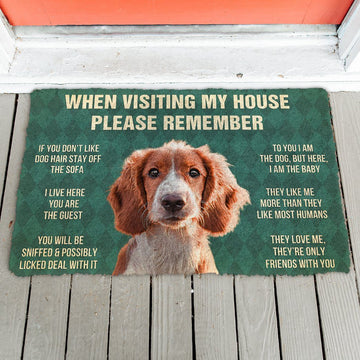 Gearhumans GearHuman 3D Please Remember Irish Red and White Setter Dogs House Rules Doormat