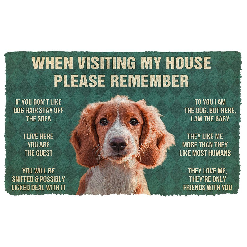 GearHuman 3D Please Remember Irish Red and White Setter Dogs House Rules Doormat GV250153 Doormat Doormat S(15,8''x23,6'')