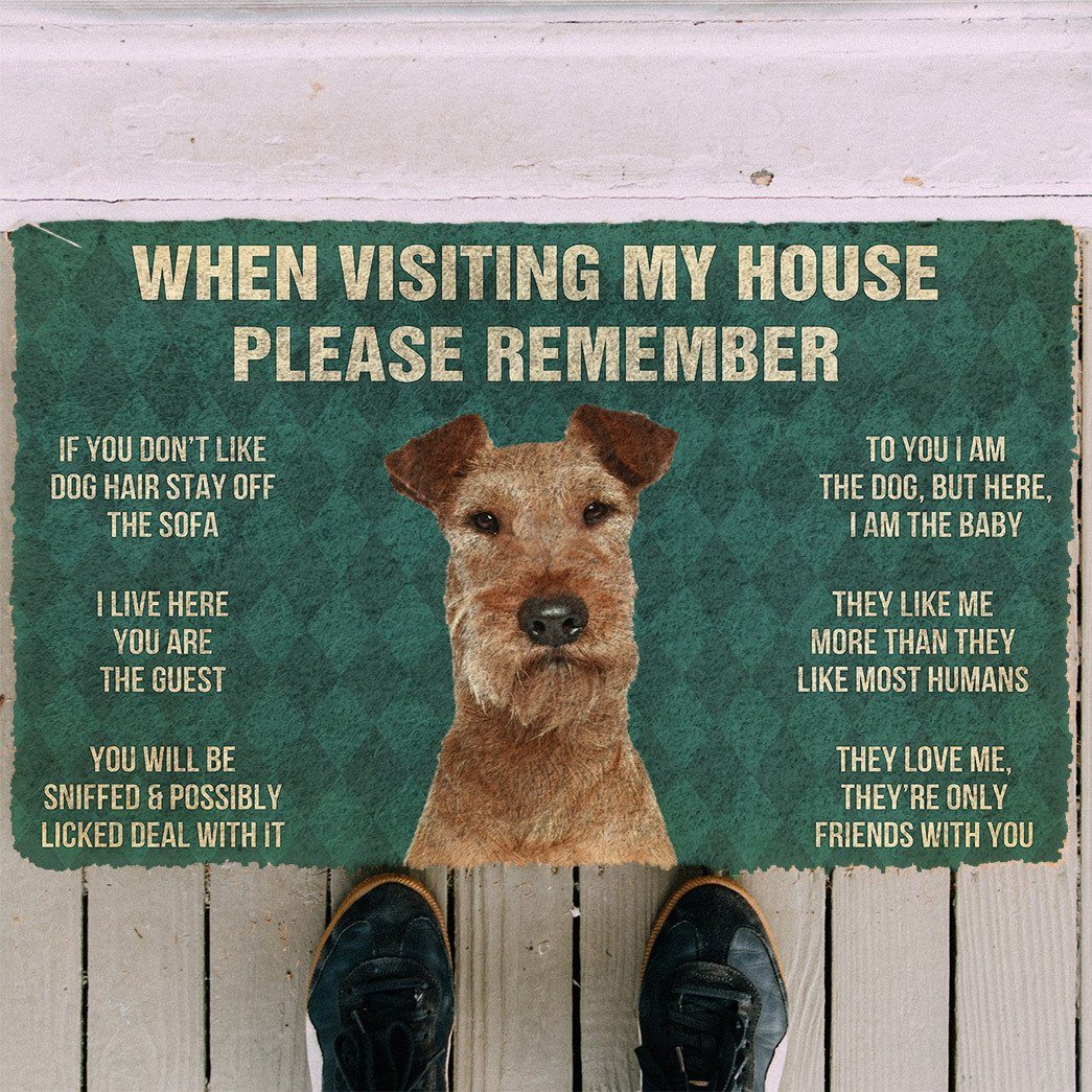 GearHuman 3D Please Remember Irish Terrier Dogs House Rules Doormat GV250152 Doormat
