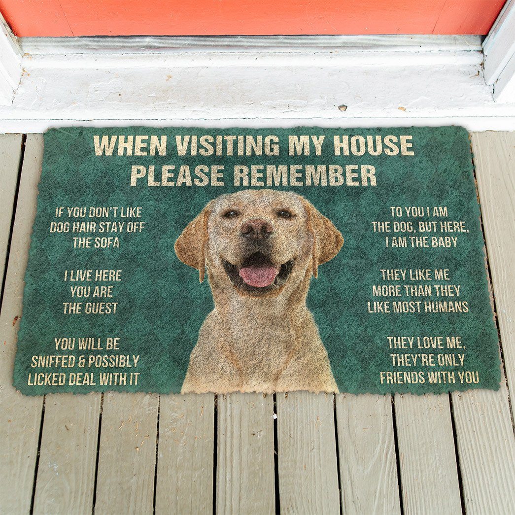 GearHuman 3D Please Remember Labrador Retriever Dog's House Rules Doormat GR20012 Doormat 