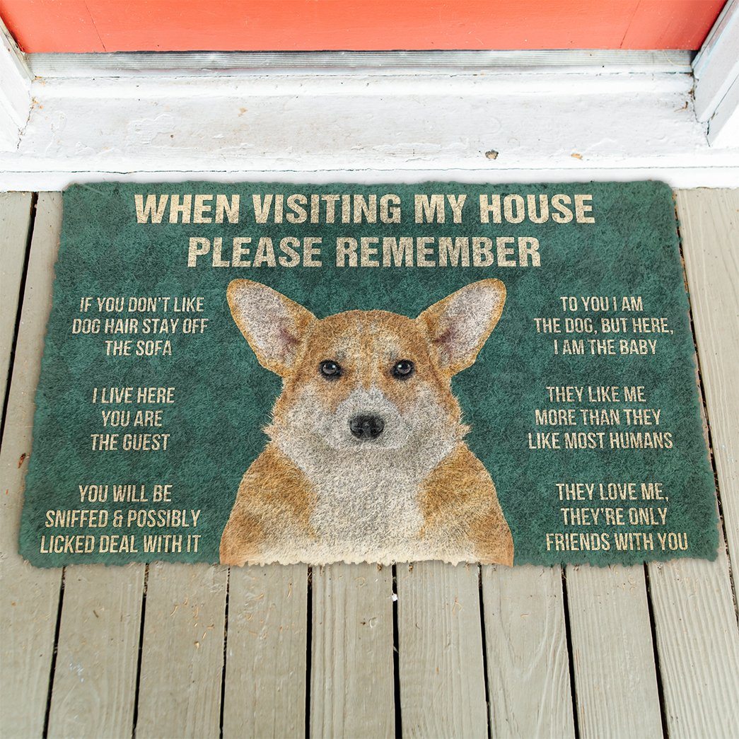 GearHuman 3D Please Remember Pembroke Welsh Corgi Dogs House Rules Doormat GV250129 Doormat